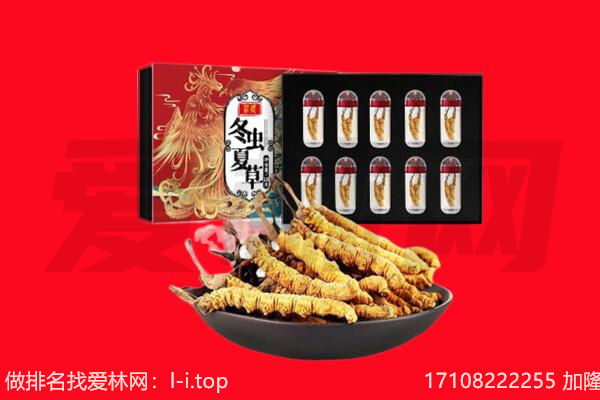 常州回收虫草.jpg
